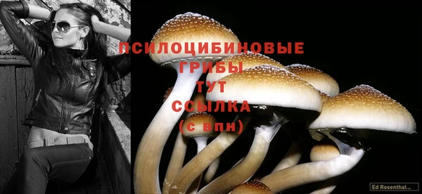 2c-b Баксан