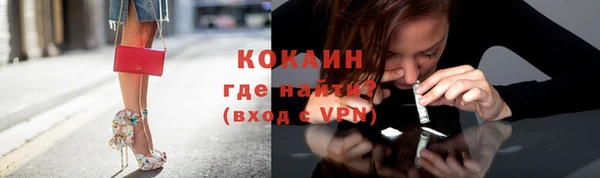 прущие грибы Богородицк