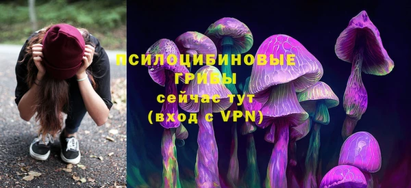 тгк Беломорск
