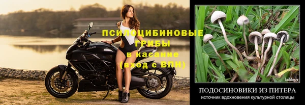 тгк Беломорск