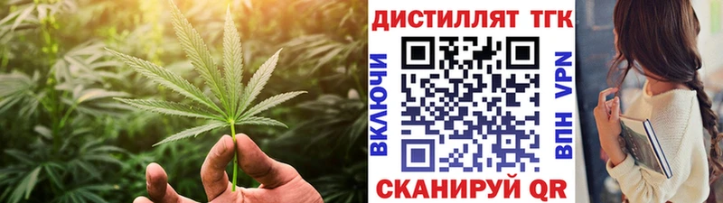 закладка Кировск ТГК Wax